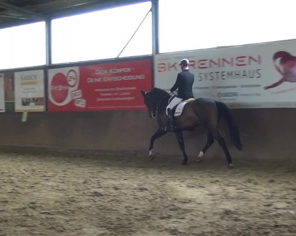 Dressurturnier Jüchen-Waat 2017