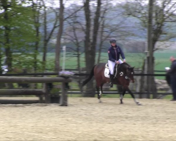 Reitturnier Olfen-Vinnum 2017