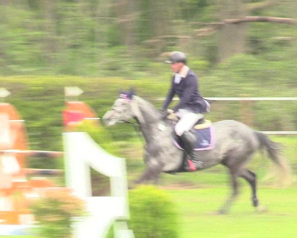 Reitturnier Jülich 2017