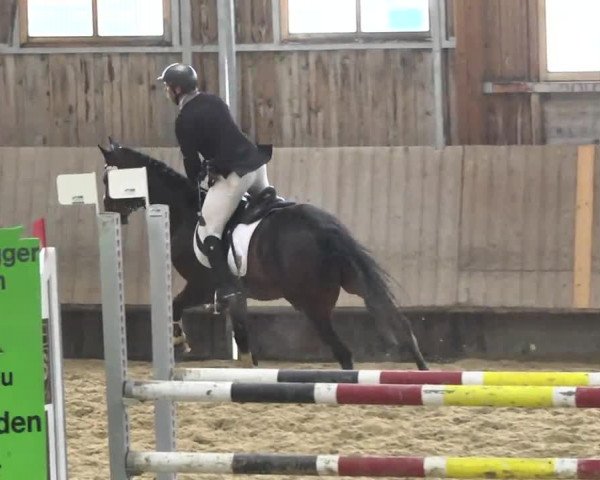 Reitturnier Leutkirch-Diepoldshofen 2017