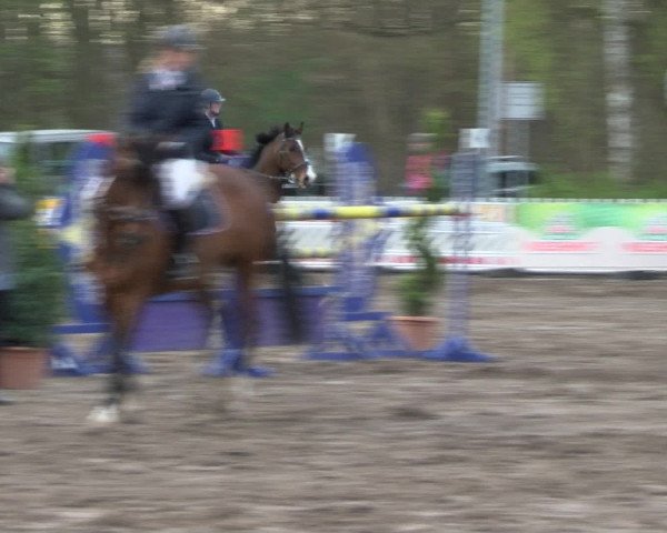 Reitturnier Bad Schwartau 2017