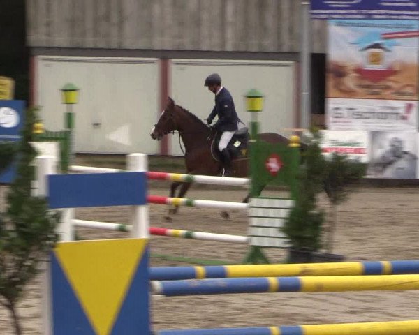 Reitturnier Havixbeck 2017