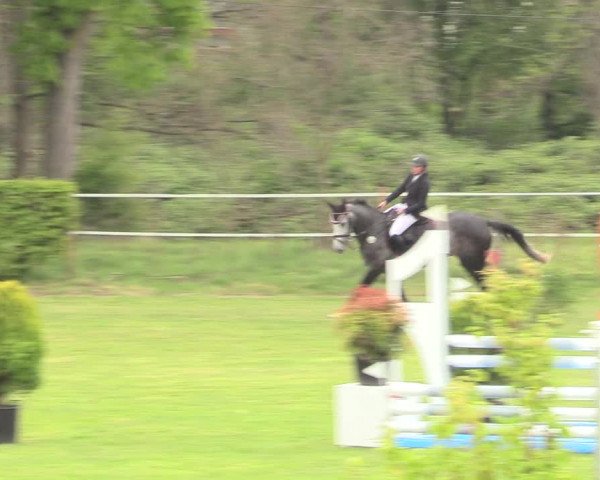 Reitturnier Jülich 2017