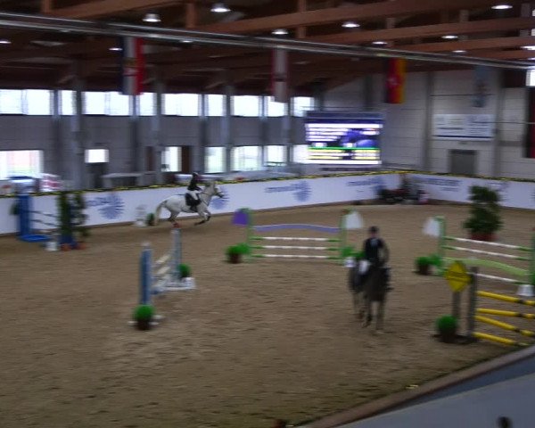 Christmas Jumping Trophy Prussendorf 2021