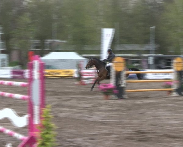 Reitturnier Bad Schwartau 2017