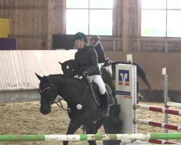 Reitturnier Leutkirch-Diepoldshofen 2017
