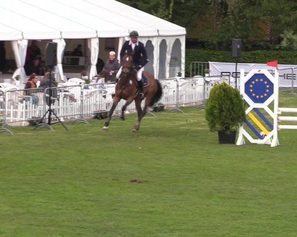 Reitturnier Jülich 2017