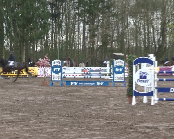 Reitturnier Bad Schwartau 2017