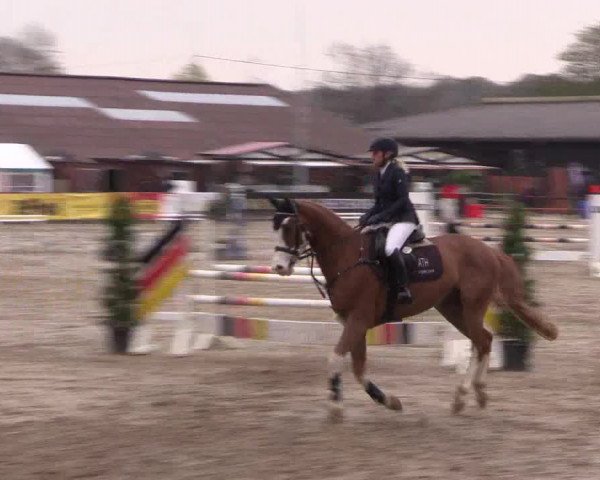 Reitturnier Havixbeck 2017