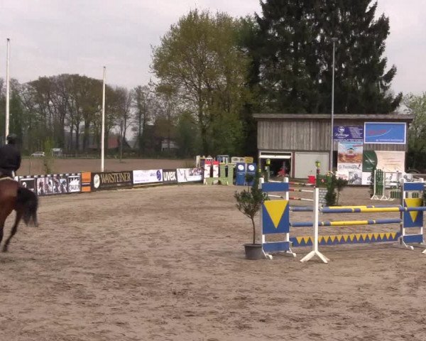 Reitturnier Havixbeck 2017