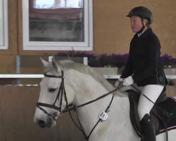 Reitturnier Leutkirch-Diepoldshofen 2017