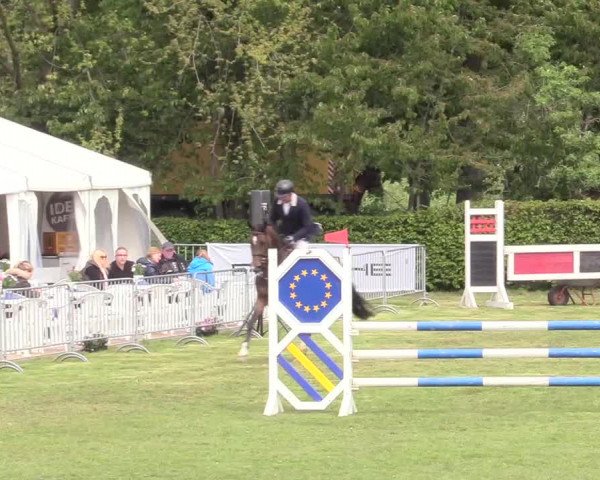Reitturnier Jülich 2017