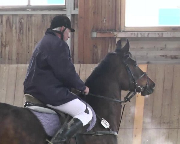 Reitturnier Leutkirch-Diepoldshofen 2017