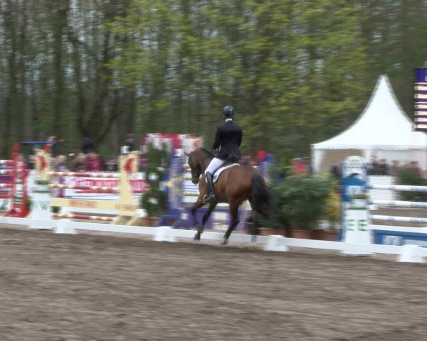 Reitturnier Bad Schwartau 2017
