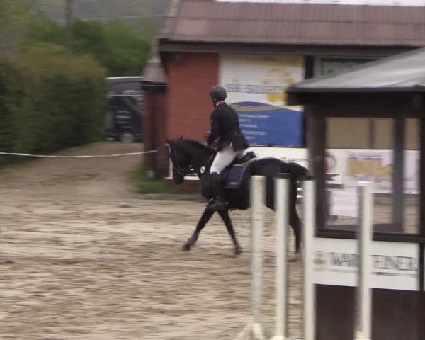 Reitturnier Havixbeck 2017