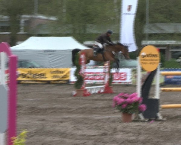 Reitturnier Bad Schwartau 2017