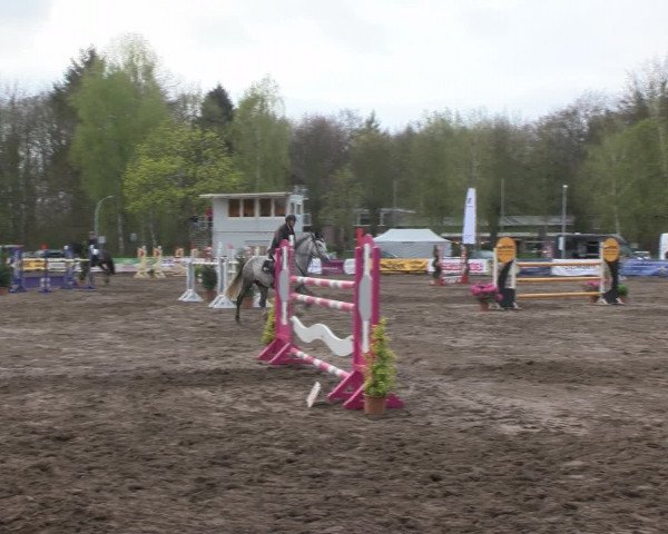 Reitturnier Bad Schwartau 2017