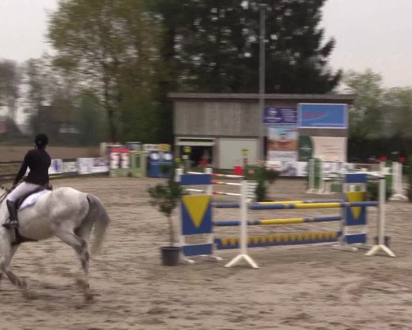 Reitturnier Havixbeck 2017