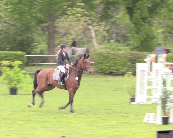 Reitturnier Jülich 2017