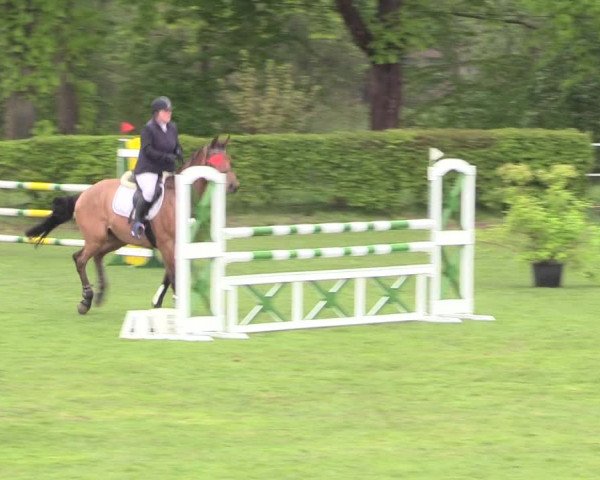 Reitturnier Jülich 2017