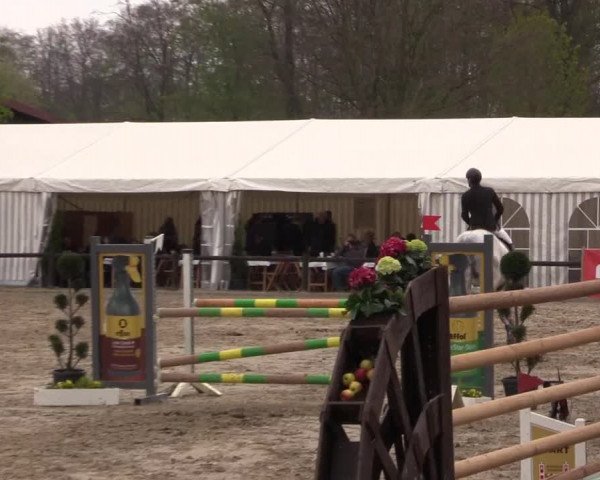 Reitturnier Havixbeck 2017