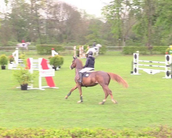 Reitturnier Jülich 2017