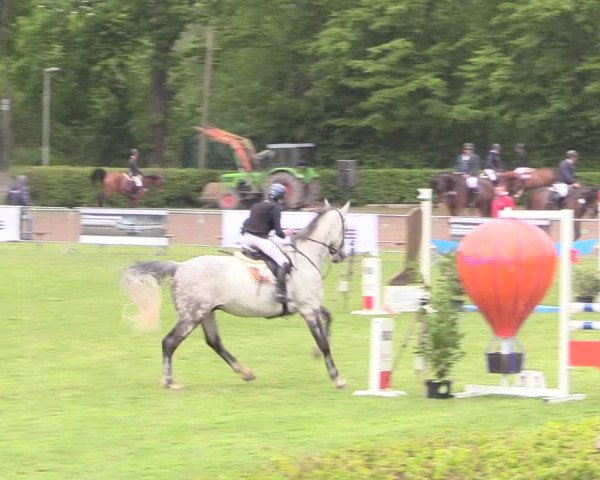 Reitturnier Jülich 2017