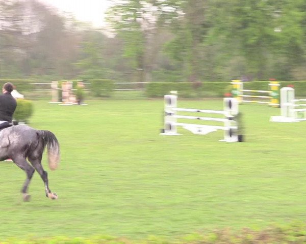 Reitturnier Jülich 2017