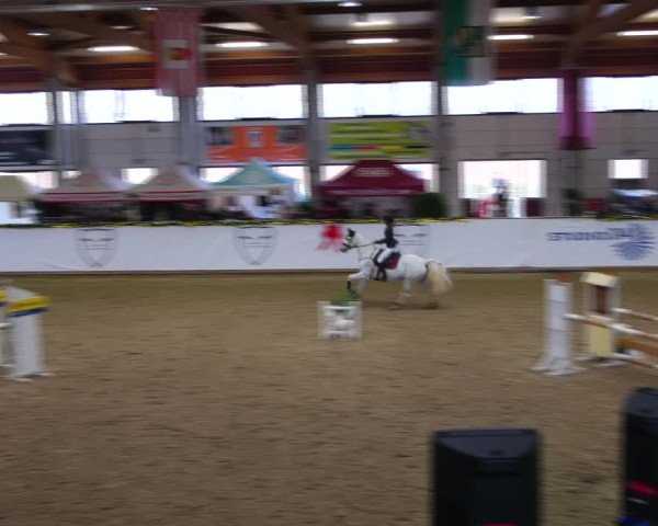 Christmas Jumping Trophy Prussendorf 2021