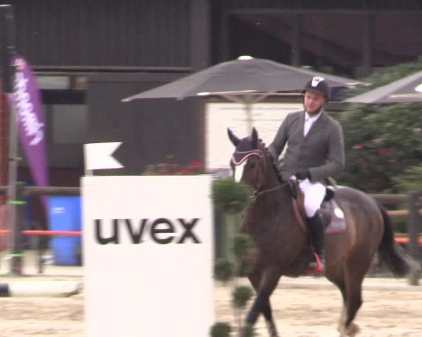 Reitturnier Havixbeck 2017