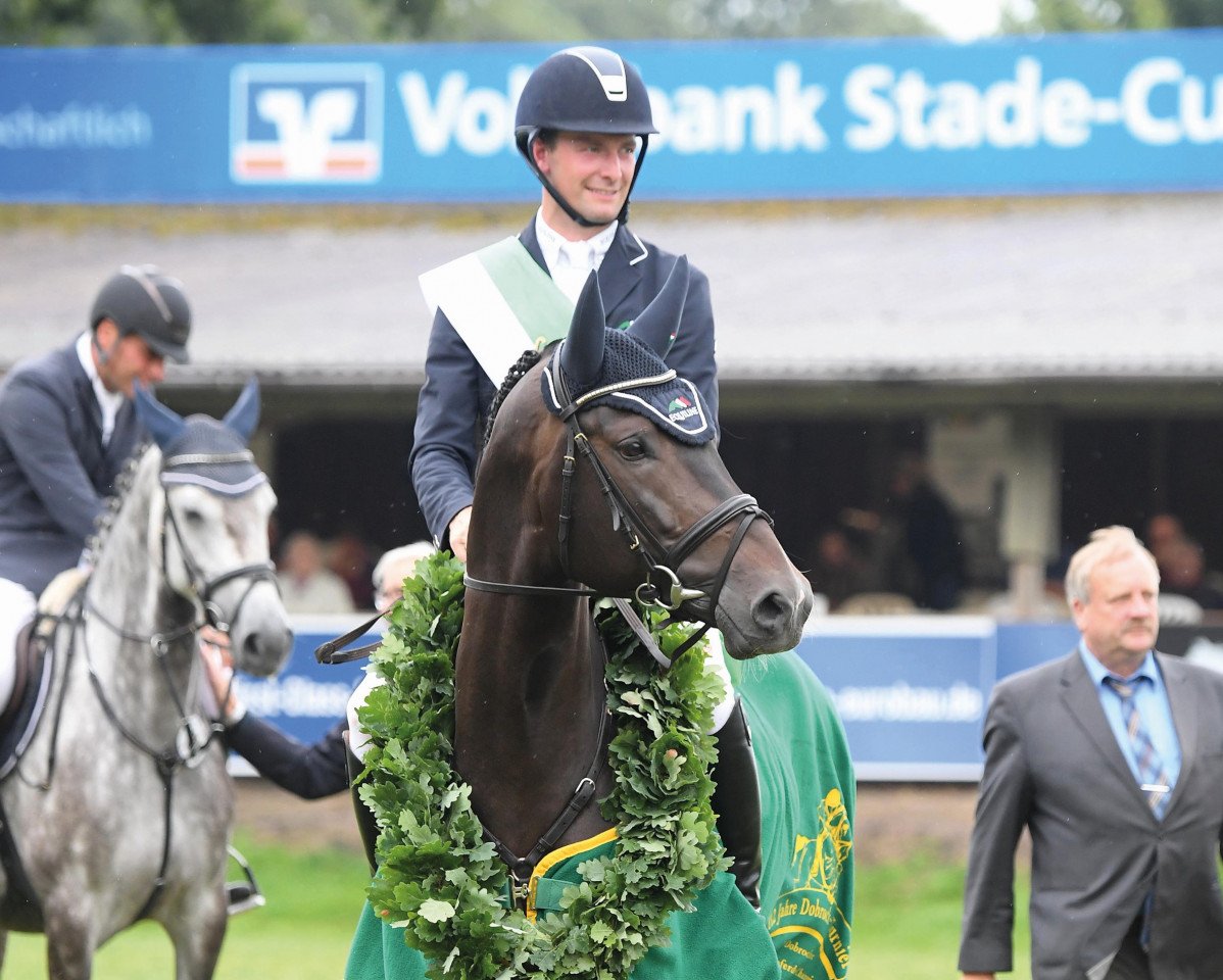 stallion Stakkato's Golden (Oldenburg show jumper, 2015, from Stakkato Gold)