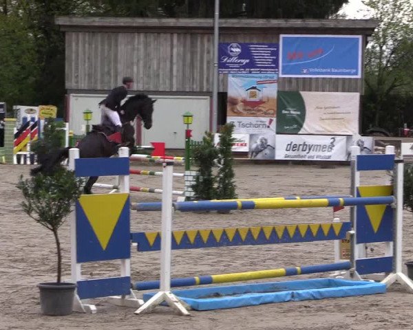 Reitturnier Havixbeck 2017