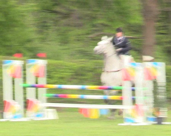 Reitturnier Jülich 2017
