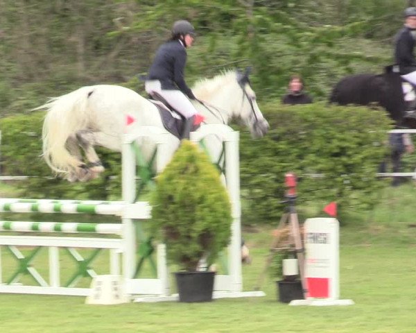 Reitturnier Jülich 2017