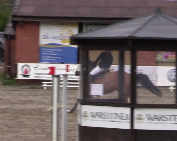 Reitturnier Havixbeck 2017