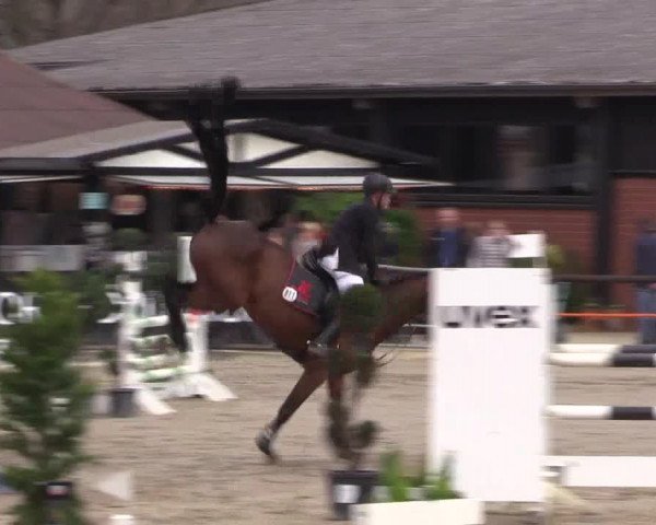 Reitturnier Havixbeck 2017
