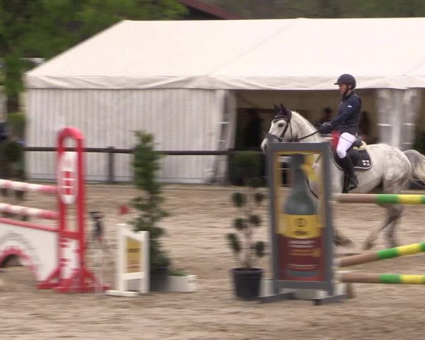 Reitturnier Havixbeck 2017