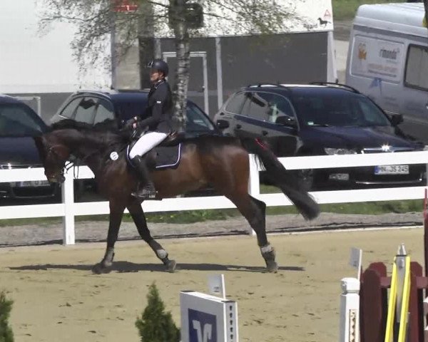 Reitturnier Leutkirch-Diepoldshofen 2017