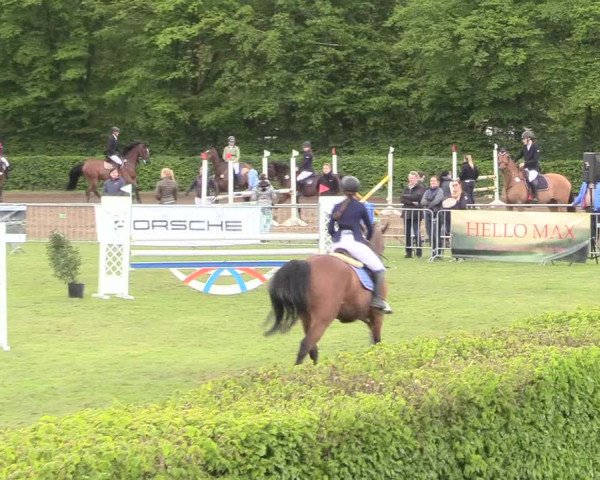Reitturnier Jülich 2017