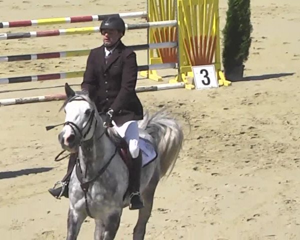 Reitturnier Leutkirch-Diepoldshofen 2017