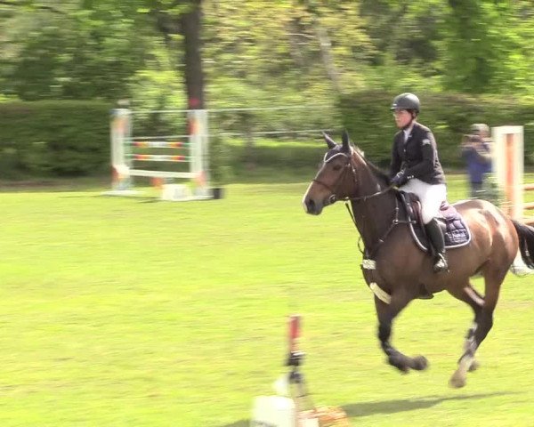 Reitturnier Jülich 2017