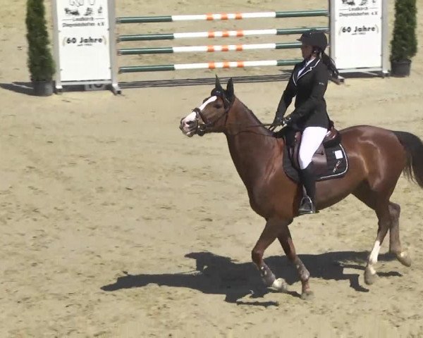 Reitturnier Leutkirch-Diepoldshofen 2017