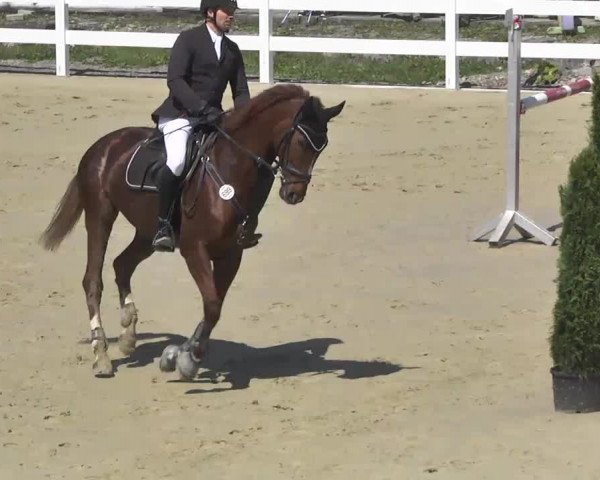 Reitturnier Leutkirch-Diepoldshofen 2017