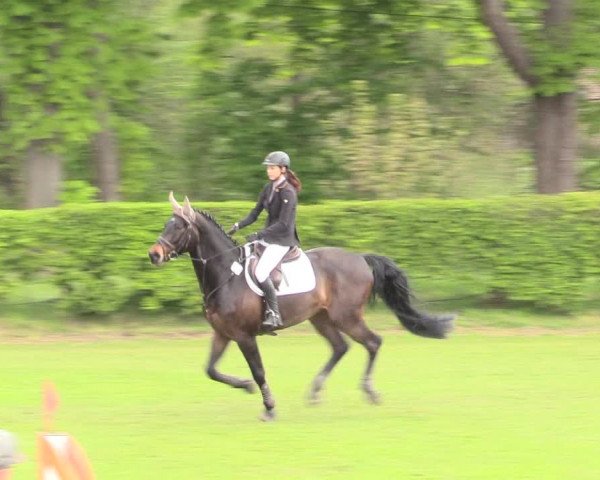 Reitturnier Jülich 2017