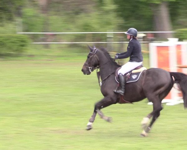 Reitturnier Jülich 2017