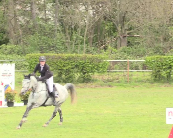 Reitturnier Jülich 2017