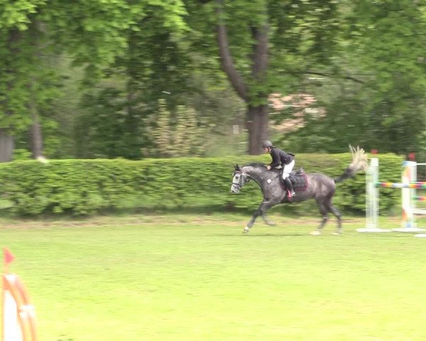 Reitturnier Jülich 2017