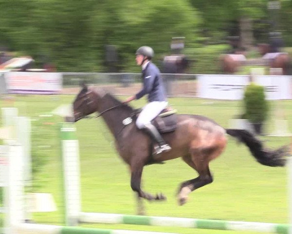Reitturnier Jülich 2017