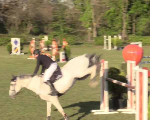 Reitturnier Jülich 2017