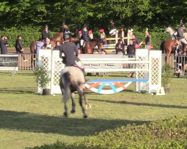 Reitturnier Jülich 2017
